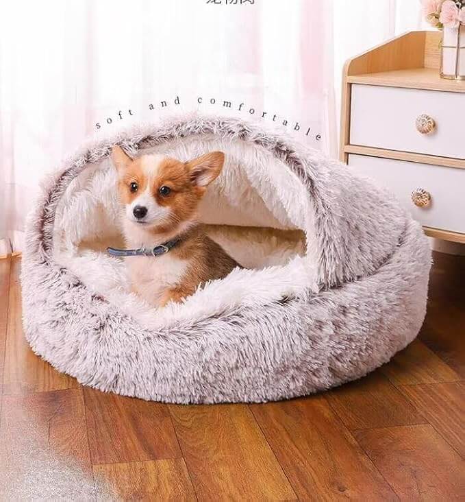 CozyPaws Orthopedic Bed