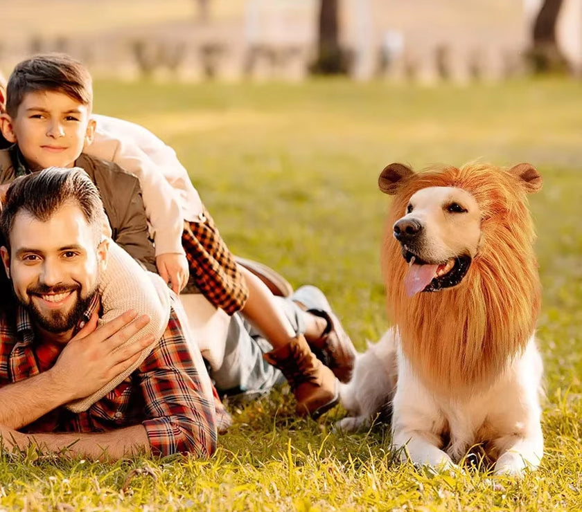 Cute Pet Dog Cosplay Clothes Lion Mane for Dog Costumes Realistic Lion Wig for Medium to Large Dogs with Ear Pet Accessories
