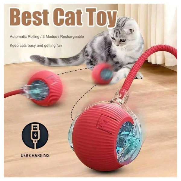 teaser toys (for cats)
