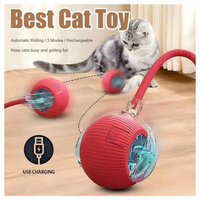 teaser toys (for cats)