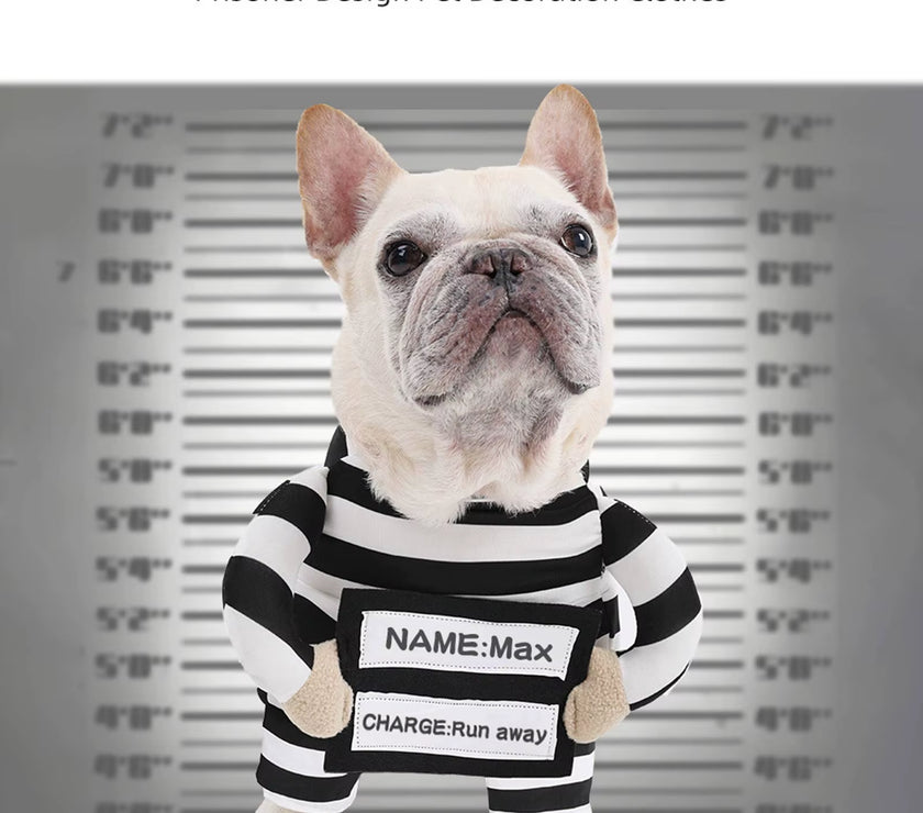 Halloween Funny Prisoner Dog Costume - Striped Prisoner Dog Cosplay Clothes Soft, Comfortable & Easy to Wear.A Cute ID Tag
