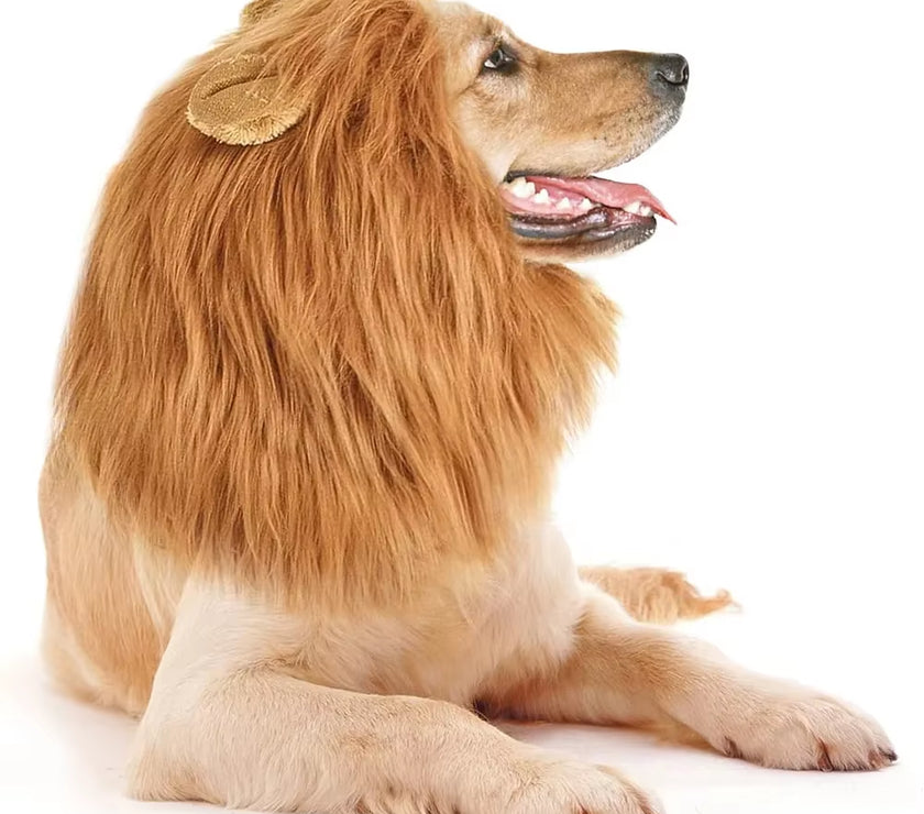 Cute Pet Dog Cosplay Clothes Lion Mane for Dog Costumes Realistic Lion Wig for Medium to Large Dogs with Ear Pet Accessories
