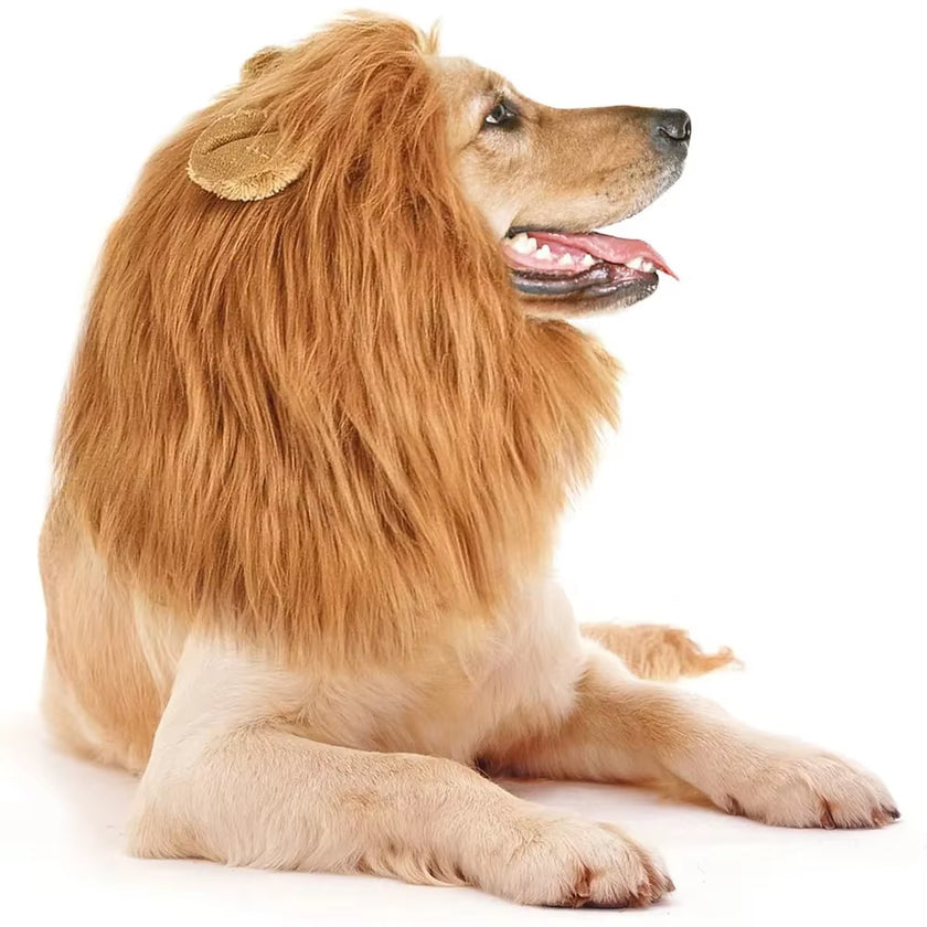 Cute Pet Dog Cosplay Clothes Lion Mane for Dog Costumes Realistic Lion Wig for Medium to Large Dogs with Ear Pet Accessories