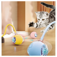 teaser toys (for cats)