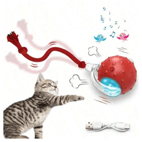 teaser toys (for cats)