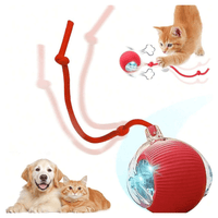 teaser toys (for cats)
