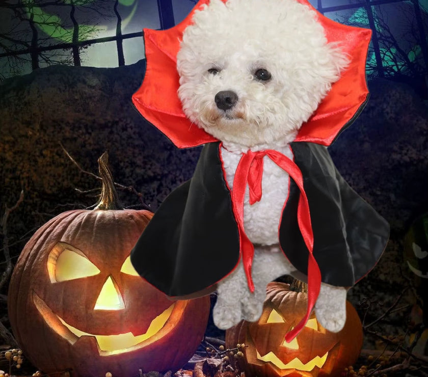 Pet Halloween Costume Vampire Cape with Bat Wings Adjustable Outfit for Puppy Kitten Cat Dog Party Decoration Gift