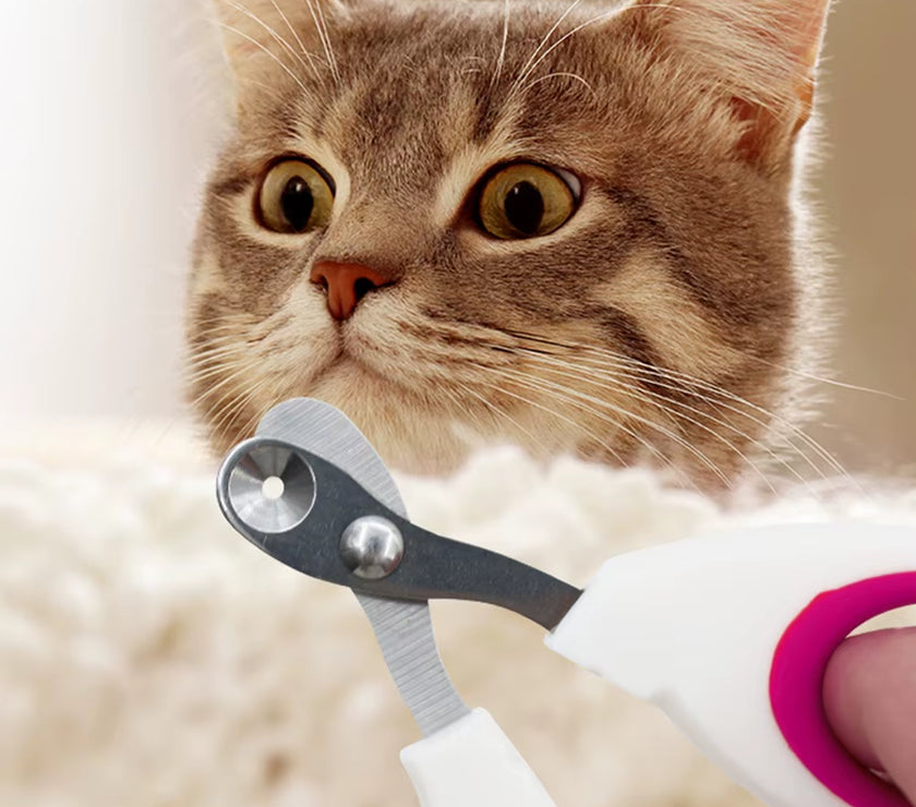 Small Blind Cat Nail Clippers Small Blind Cat Nail Clippers Special Pet Nail Clippers