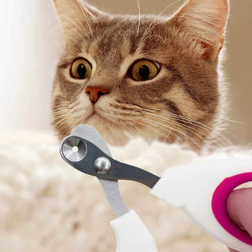 Small Blind Cat Nail Clippers Small Blind Cat Nail Clippers Special Pet Nail Clippers