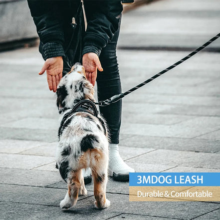 300Cm Nylon Reflective Pet Tractionrope Small Medium-Sizedmulti-Color Circular Tractionrope Comfort Handle Dog Leash Pet Product