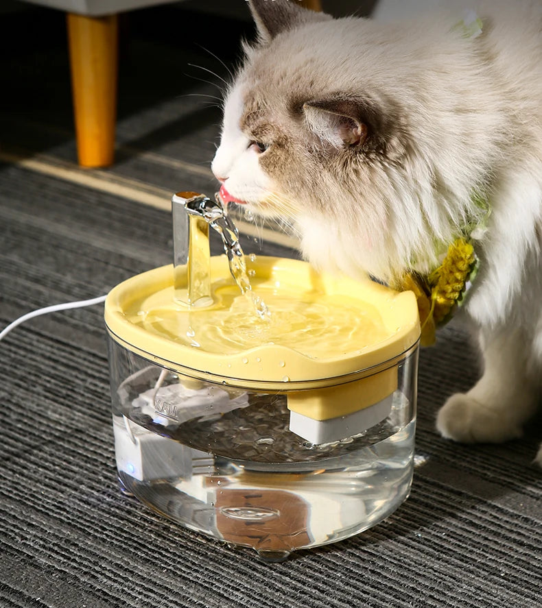 Automatic Cat Water Fountain with Filtration System | Quiet Circulating Pet Water Dispenser | Anti-Dry Burn Protection