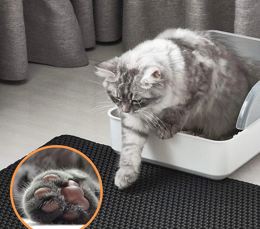 Cat Litter Trapping Mat