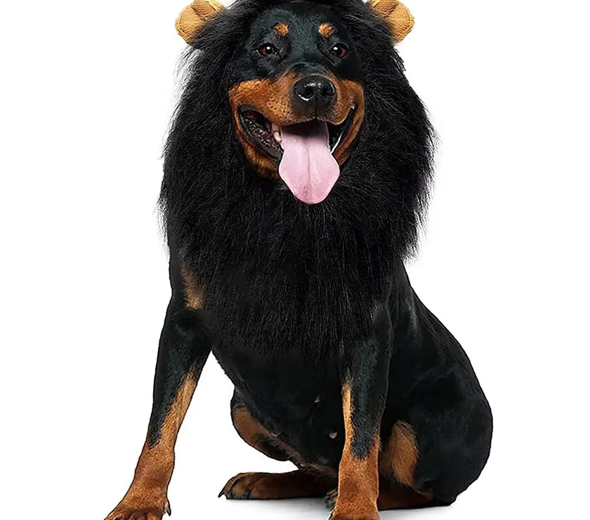 Cute Pet Dog Cosplay Clothes Lion Mane for Dog Costumes Realistic Lion Wig for Medium to Large Dogs with Ear Pet Accessories