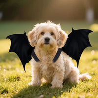 Halloween Pet Cosplay Wings Decor Accessories Halloween Party Masquerade Cat Dog Ghost Festival Dress-Up Plastic Wings Props
