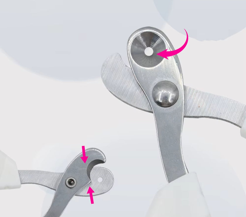 Small Blind Cat Nail Clippers Small Blind Cat Nail Clippers Special Pet Nail Clippers