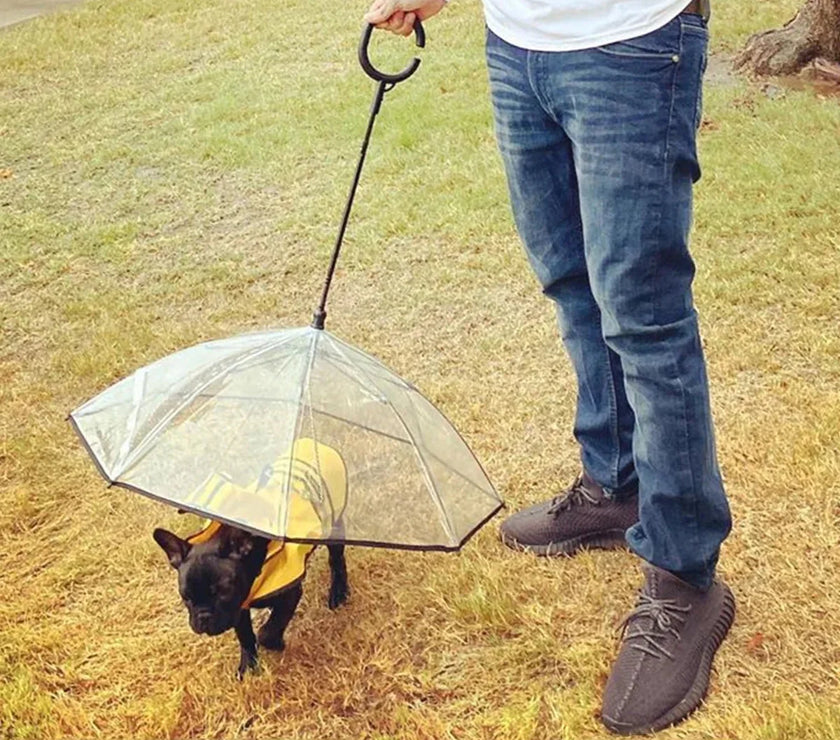 Dog Umbrella