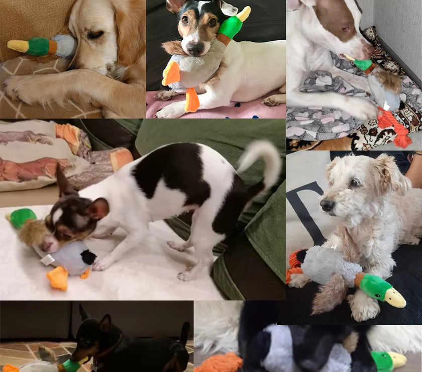 Cute Plush Duck Sound Pet Toys Stuffed Squeaky Animal Squeak Dog Toy Cleaning Tooth Dog Chew Rope Toys Pet Dog Accessories Toys
